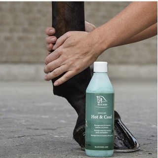Hot and Cool Blue Hors