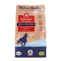 Senior hest Hilton Herbs