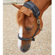 MAGNET Nakkebånd Premier Equine