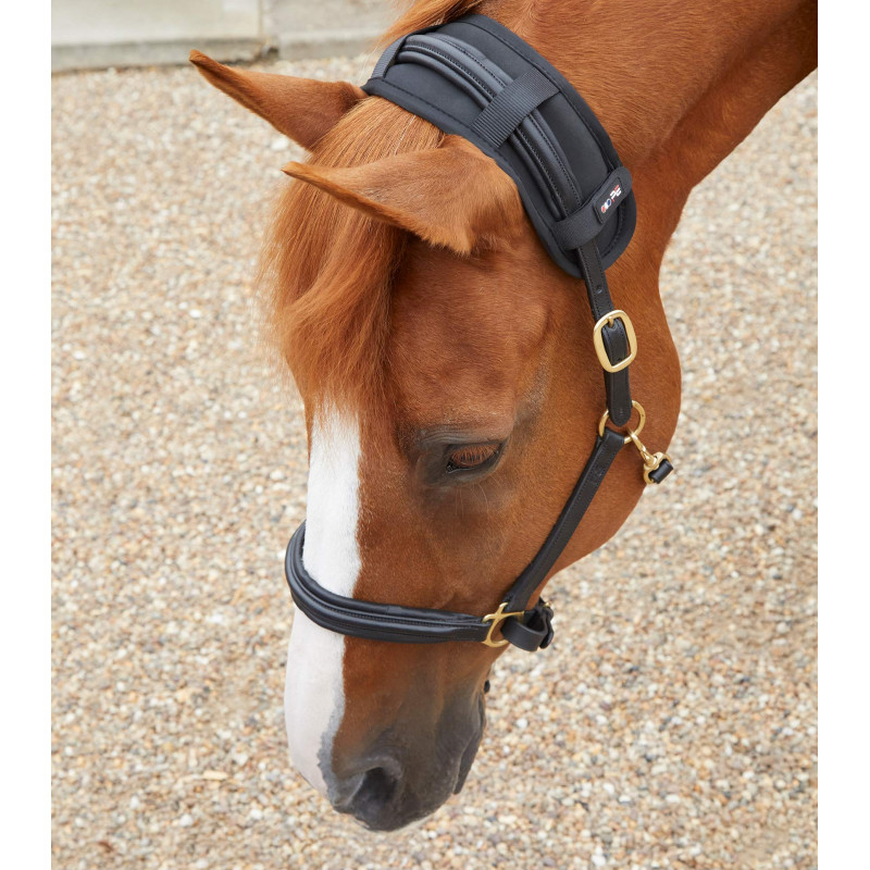 MAGNET Nakkebånd Premier Equine