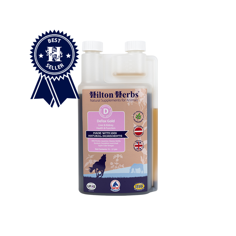 Detox Gold flytende Hilton Herbs