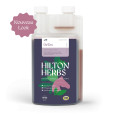Detox Gold flytende Hilton Herbs