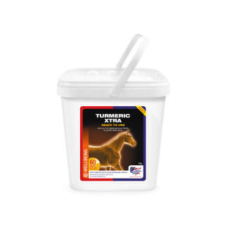 Gurkemeie Turmeric Extra 3kg Equine America