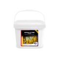 Apple Lytes pulver 10kg Equine America