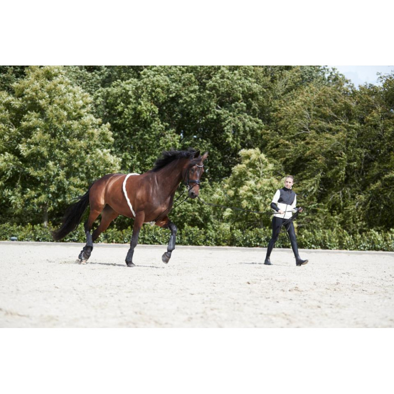 HorseGuard Soft Longeringshjelp
