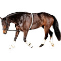 HorseGuard Soft Longeringshjelp