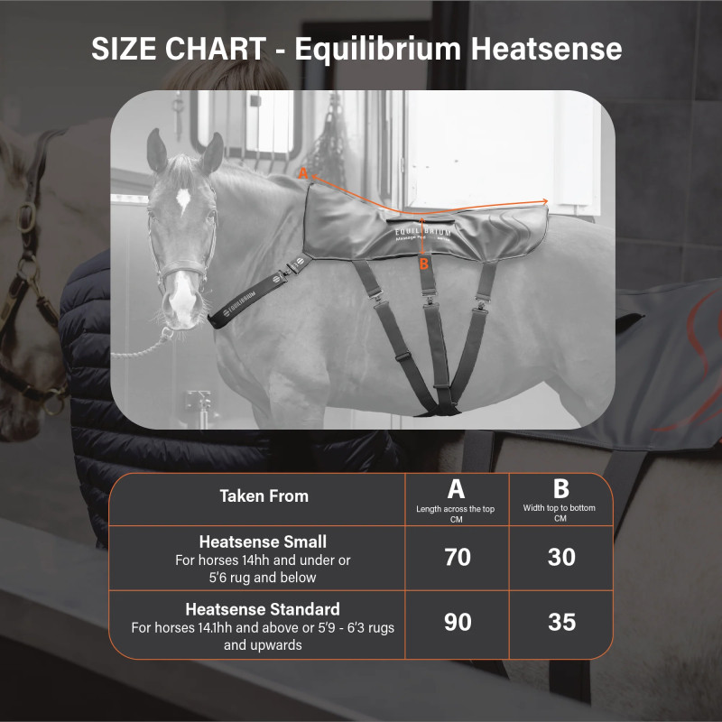 Massage Pad Heatsense XL Equilibrium