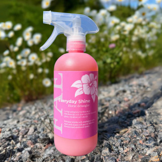 FAE Everyday Shine