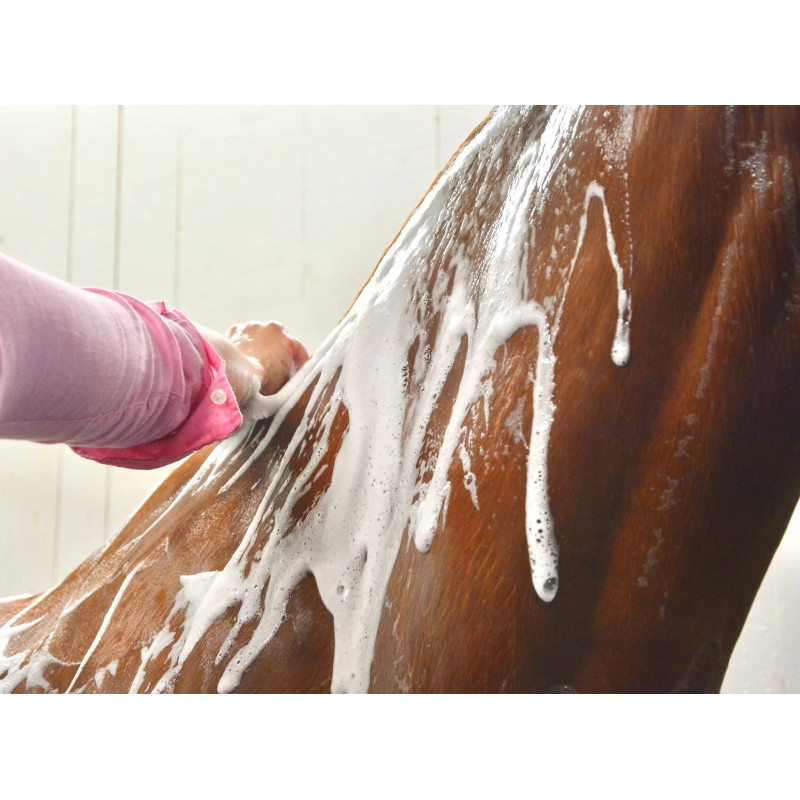 FAE Everyday Wash Shampo