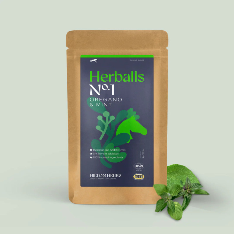 Herballs  N°1 Godbiter Hilton Herbs