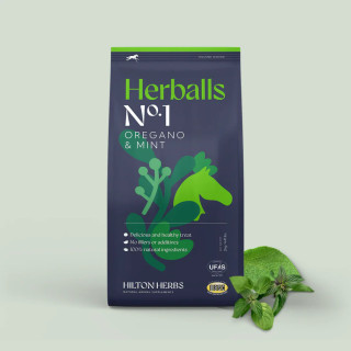 Herballs  N°1 Godbiter Hilton Herbs