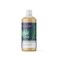 Aloe Vera Hilton herbs