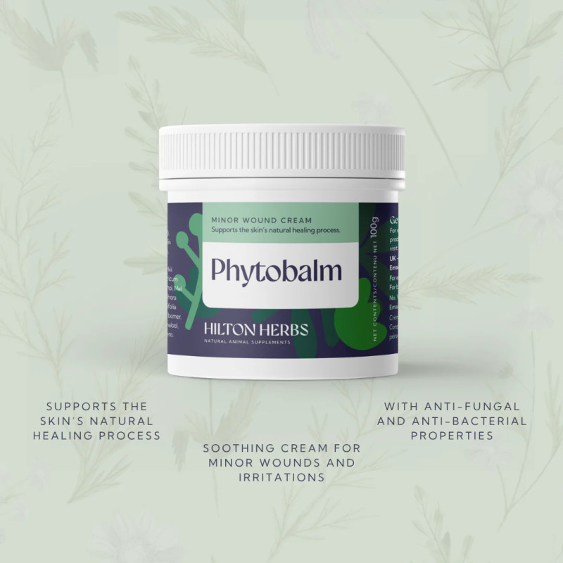 Phytobalm Sårkrem 250g Hilton Herbs