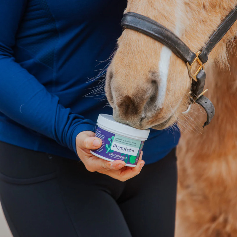 Phytobalm Sårkrem 250g Hilton Herbs