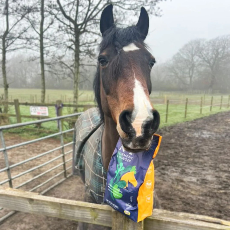 Herballs No2 Godbiter med Gurkemeie og Ingefær